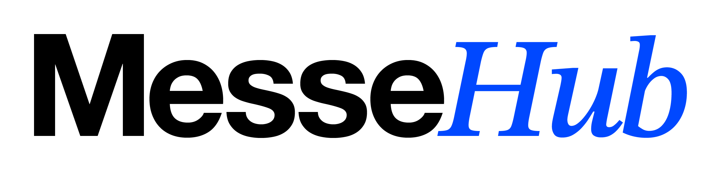 MesseHub Logo